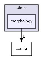 aims/morphology