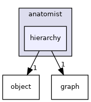 anatomist/hierarchy