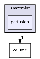 anatomist/perfusion