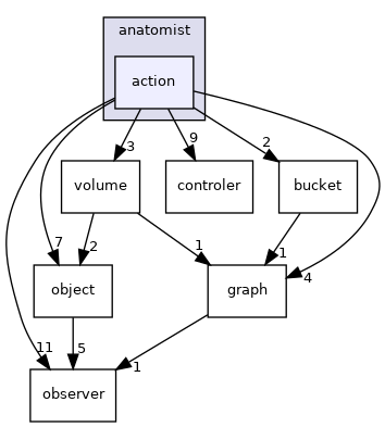 anatomist/action