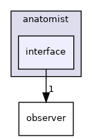 anatomist/interface