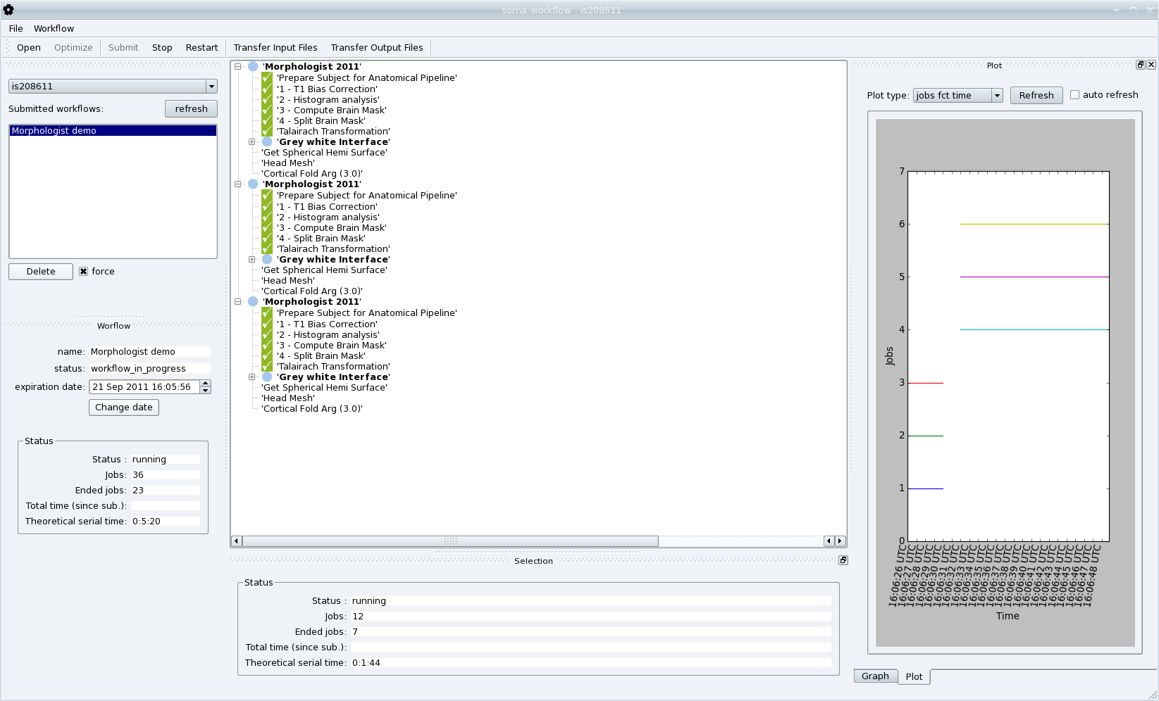 _images/soma_workflow_gui.png