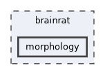 brainrat/morphology
