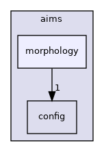 aims/morphology