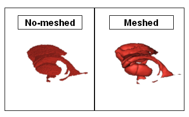 _images/aimsgraphmesh.png