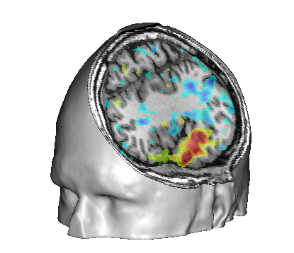 _images/fusion_cutmesh_1.png