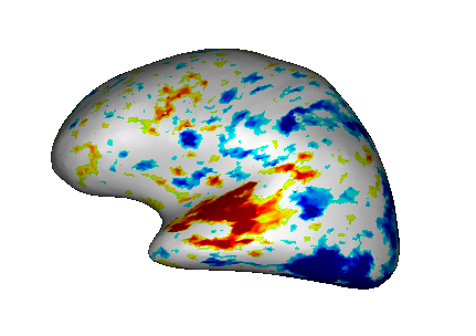 _images/fusion_map_iwhitemesh_1.png