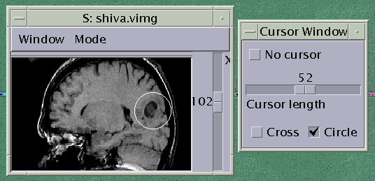 _images/lie3.gif