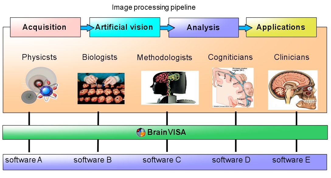 _images/axon_schema.jpg