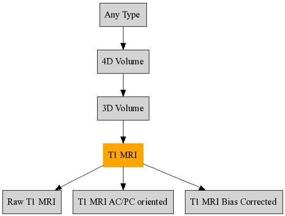 _images/T1_MRI_inheritance.png