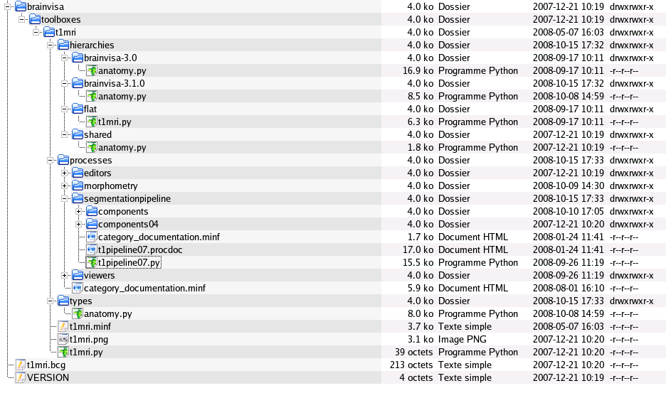 _images/t1mri_files_organisation.png