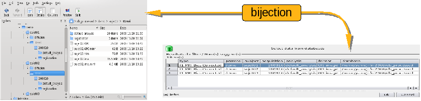 _images/bv_database.png