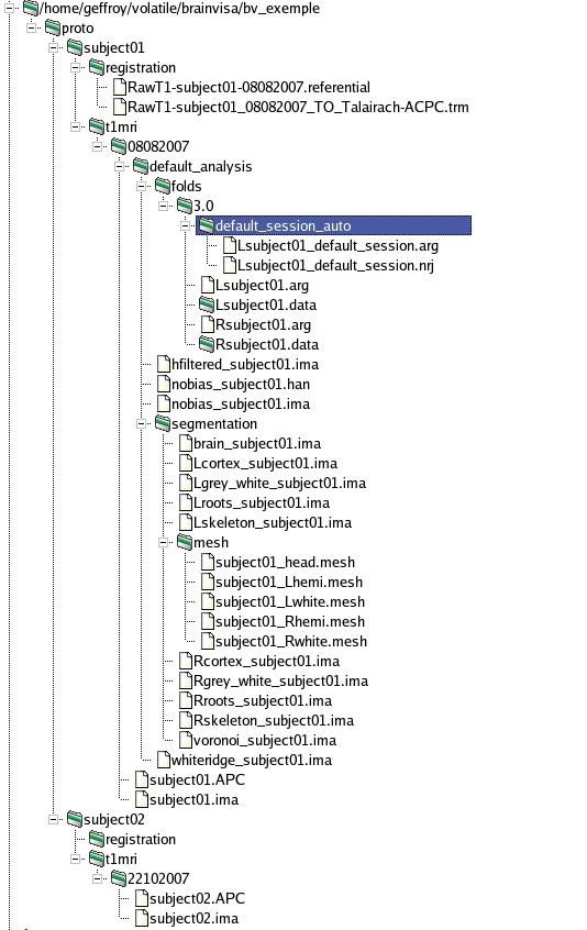 _images/database_t1_example.png