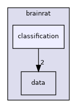 brainrat/classification