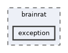 brainrat/exception