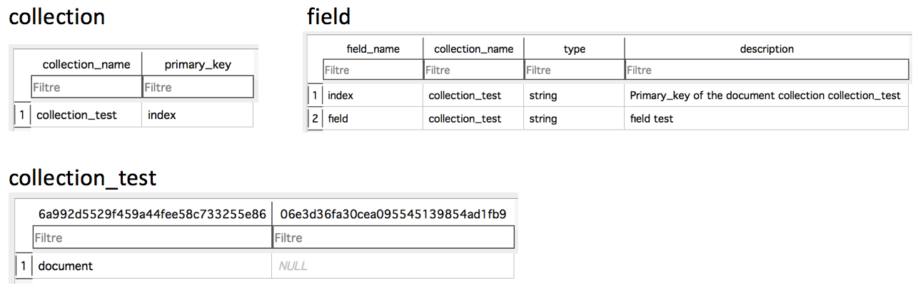 _images/database_field.png