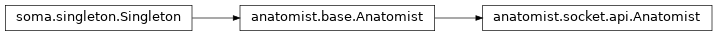 Inheritance diagram of anatomist.socket.api.Anatomist