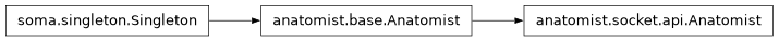 Inheritance diagram of anatomist.socket.api.Anatomist