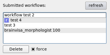 _images/gui_workflow_selection.png