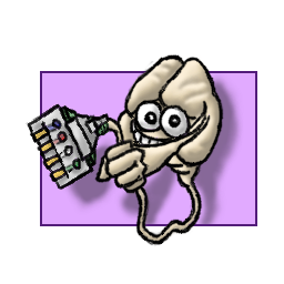 _images/cort_contact.png