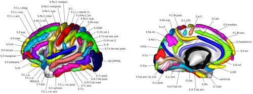 _images/nomenclature_small.jpg