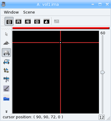 3D volume: value 12 at voxel (100, 100 ,60)
