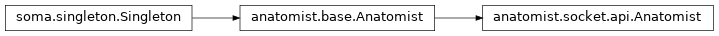 Inheritance diagram of anatomist.socket.api.Anatomist